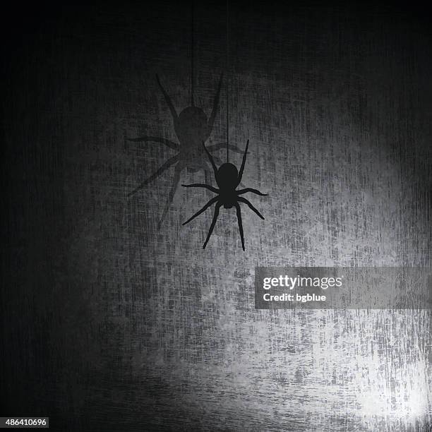 spider on grunge background - arachnophobia stock illustrations