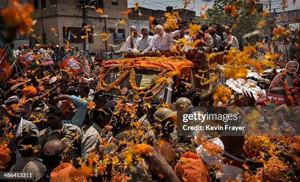 Flowers are thrown as BJP leader Narendra Modi waves to supporters as he rides on an open truck on his way to filing his nomination papers on April...