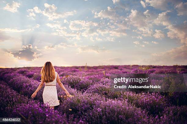 frescas y un día - provence fotografías e imágenes de stock