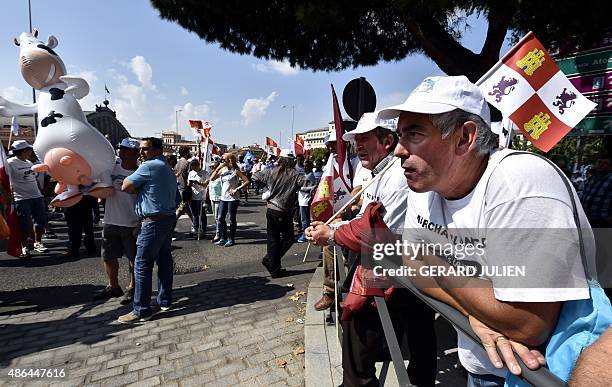 An inflatable cow is seen as dairy farmers protest outside the Ministry of Agriculture in Madrid on the last day of an action dubbed "White March" in...