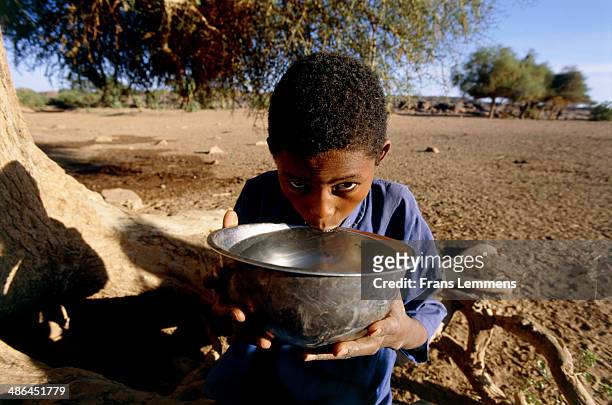 boy drinking water, niger, africa - wildnisgebiets name stock-fotos und bilder