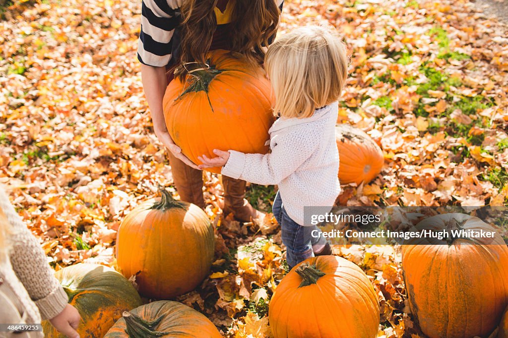 Mother and female toddler lifting a pumpkin
