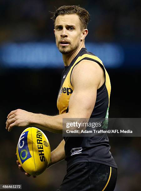 Brett Deledio of the Tigers in action during the 2015 AFL round 23 match between the Richmond Tigers and the North Melbourne Kangaroos at Etihad...