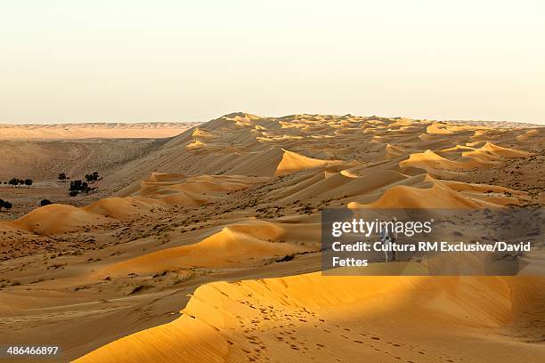 man and woman standing on desert sand dune, wahiba sands, oman - glow rm fotografías e imágenes de stock