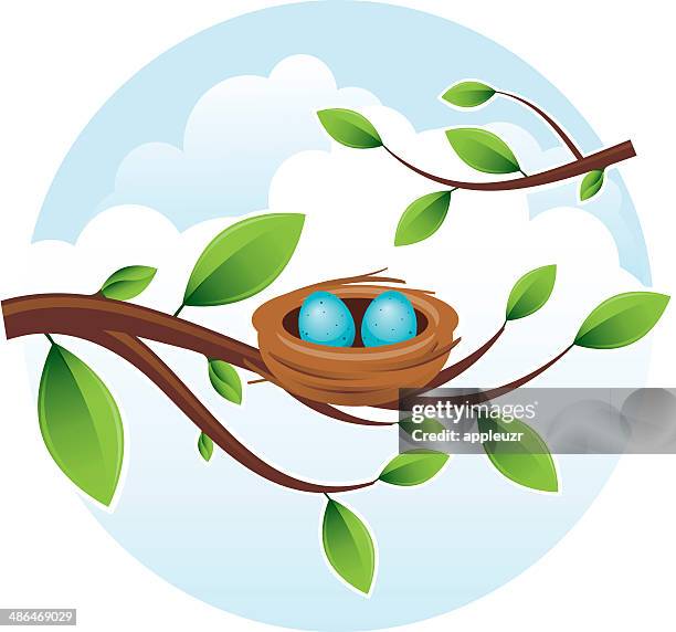 2 066点の鳥の巣イラスト素材 Getty Images 2 066点の鳥の巣イラスト素材 Getty Images