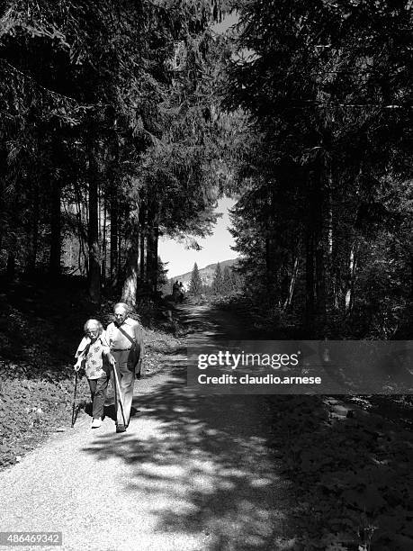 country road. black and white - santo stefano di cadore stock pictures, royalty-free photos & images