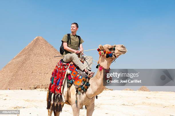 tourist at the giza pyramids - camels stockfoto's en -beelden