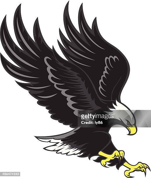 eagle - bald eagle stock-grafiken, -clipart, -cartoons und -symbole
