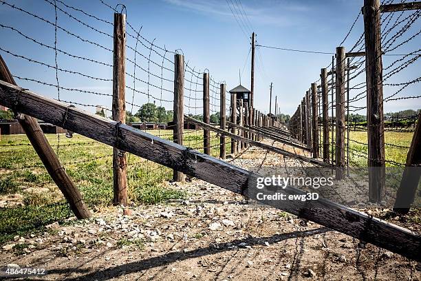 security system in concentration camp, majdanek, poland - concentration camp stock pictures, royalty-free photos & images