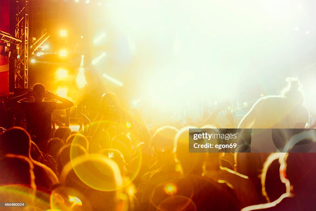 Concert Crowd