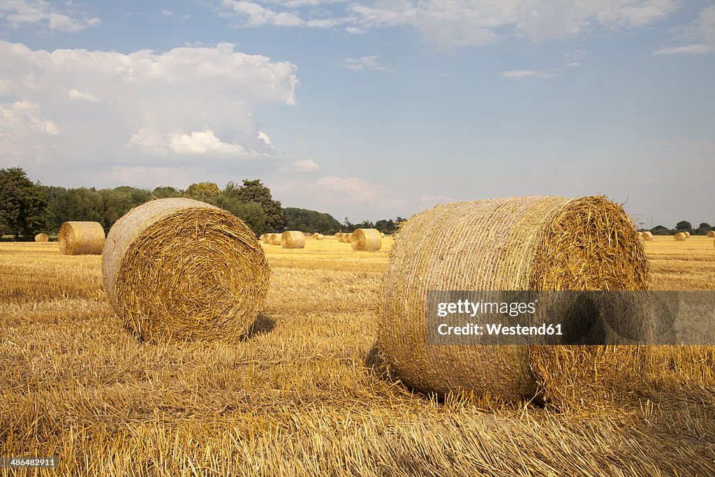 Germany, North Rhine-Westphalia, Kamen, straw bales on stubble field
