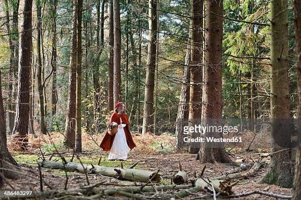 girl masquerade as red riding hood on the move in the wood - caperucita roja fotografías e imágenes de stock