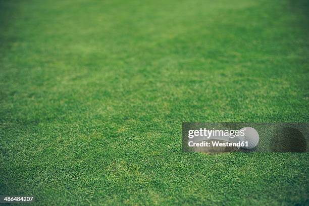 germany, duesseldorf, golf ball - campo golf fotografías e imágenes de stock