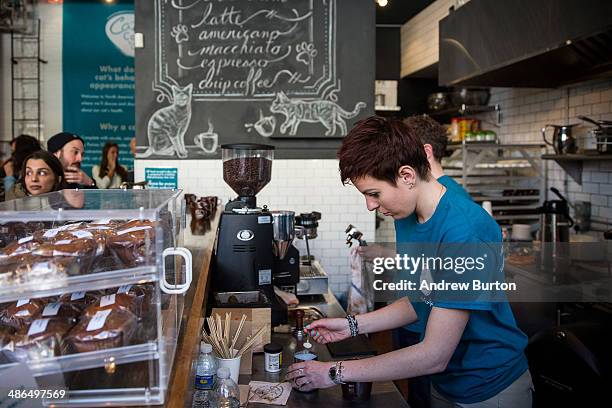 Barista makes a "cat'achino" at the pop-up shop "Cat Cafe" on April 24, 2014 in New York City. The cafe, which has been created Purina One cat food,...