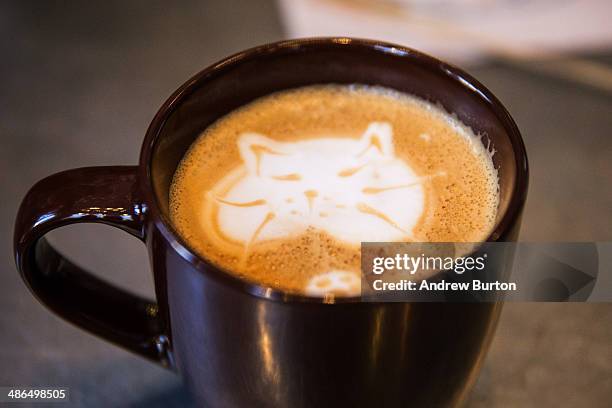 Cat'achino" is seen at the pop-up shop "Cat Cafe" on April 24, 2014 in New York City. The cafe, which has been created Purina One cat food, serves...