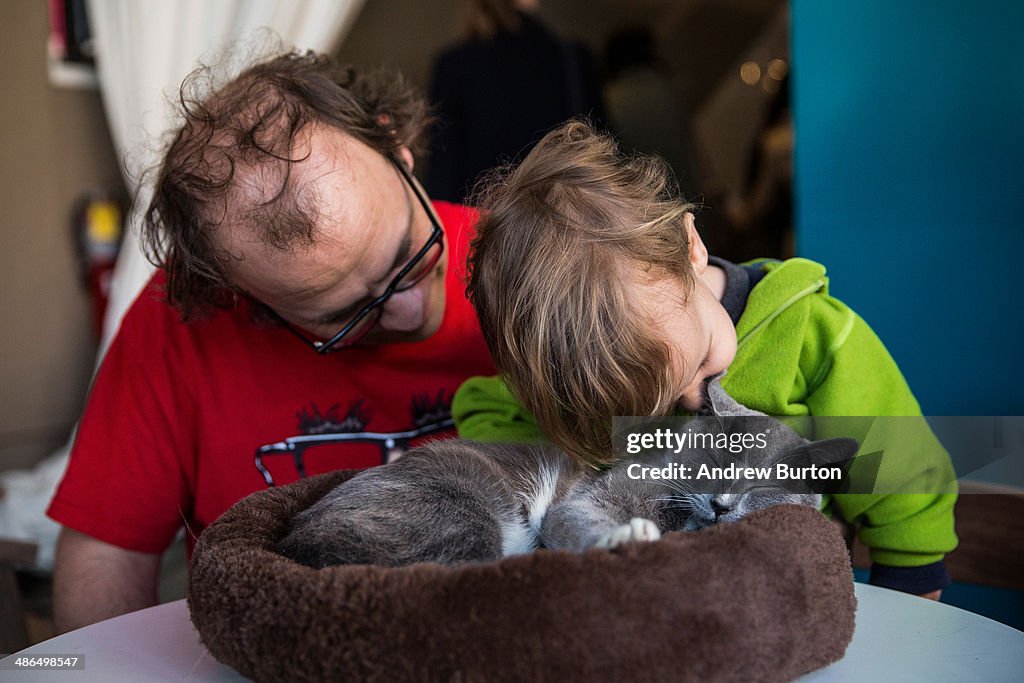 Pop Up Cat Cafe Opens In Manhattan