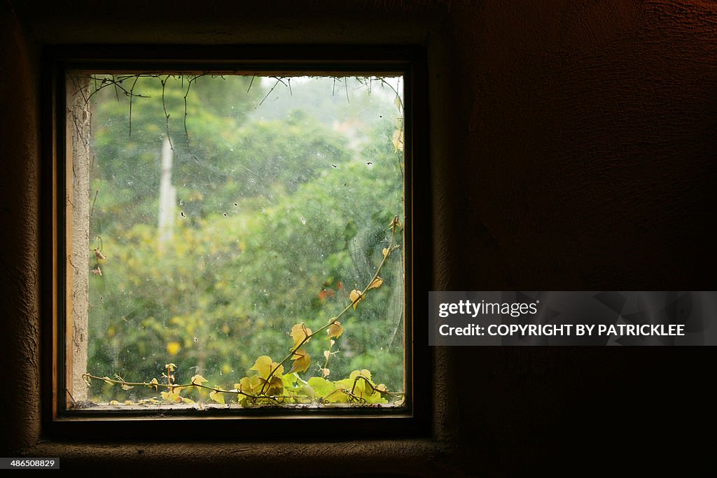 Outside the window