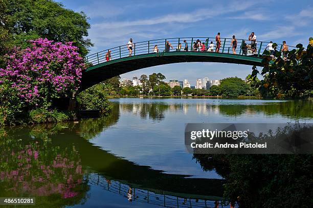 ibirapuera park in sao paulo, brazil - ibirapuera park stockfoto's en -beelden