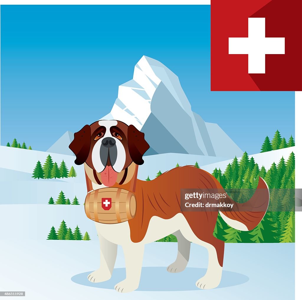Saint Bernard und Berge