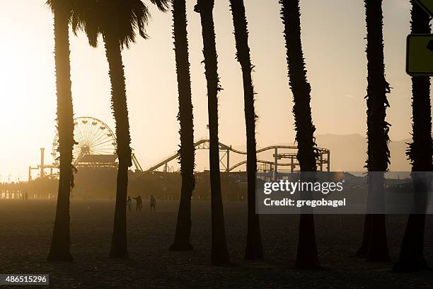 palmen und dem santa monica pier in los angeles county - santa monica pier stock-fotos und bilder