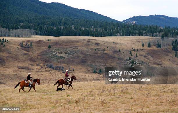 Cross Country Ranch Skyline Ranch Photos and Premium High Res Pictures - Getty Images