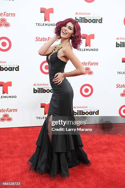 Melissa Crash Barrera Television Personality Photos and Premium High