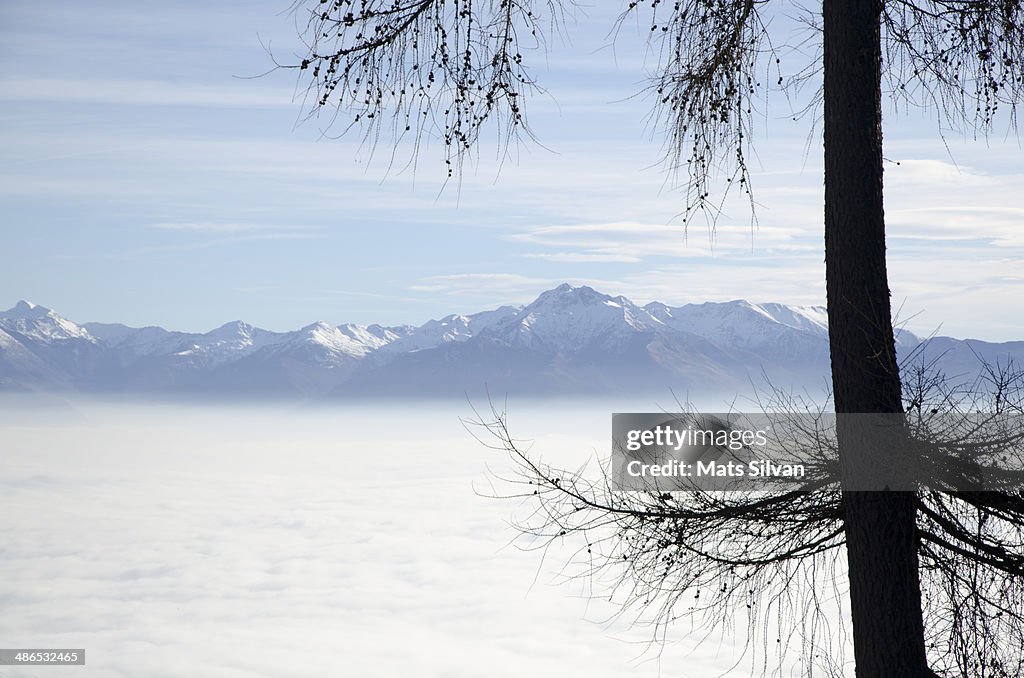 Sea of fog