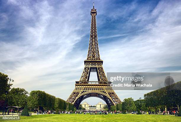 the eiffel tower in paris - tour eiffel photos et images de collection