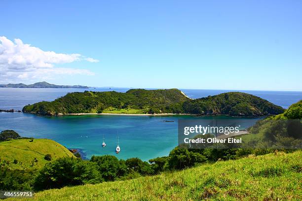 bay of islands new zealand - whangarei heads stockfoto's en -beelden