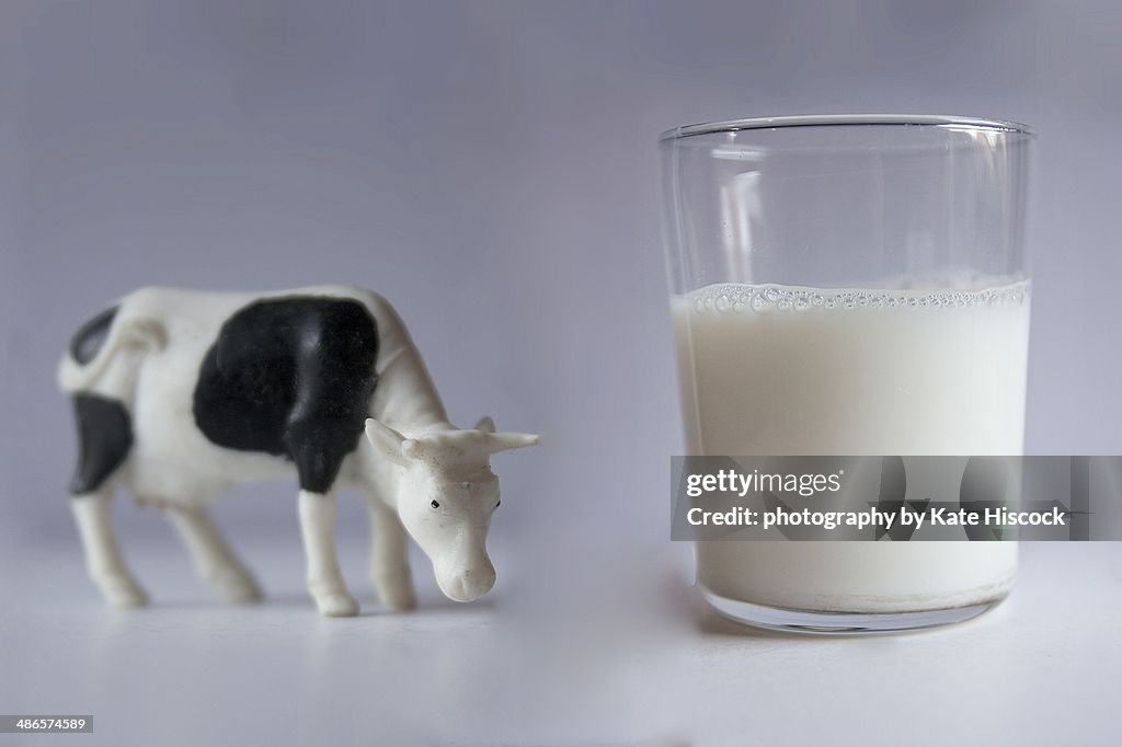 A cow and a glass of milk
