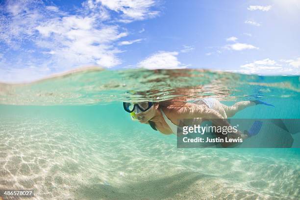 split shot of girl snorkeling w/sandy bottom - snorkeling bildbanksfoton och bilder