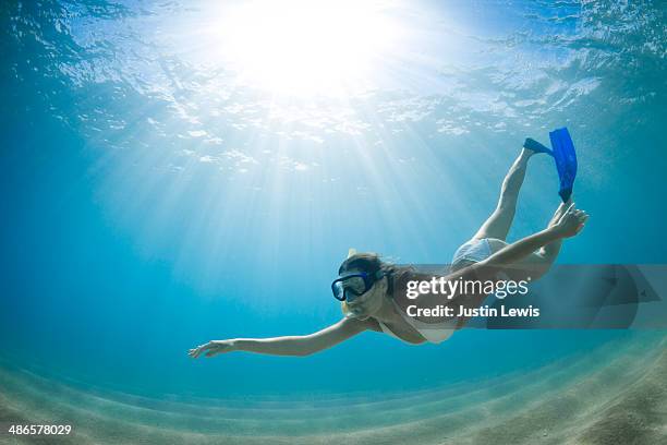 girl gracefully free diving in clear water - woman diving underwater stock-fotos und bilder