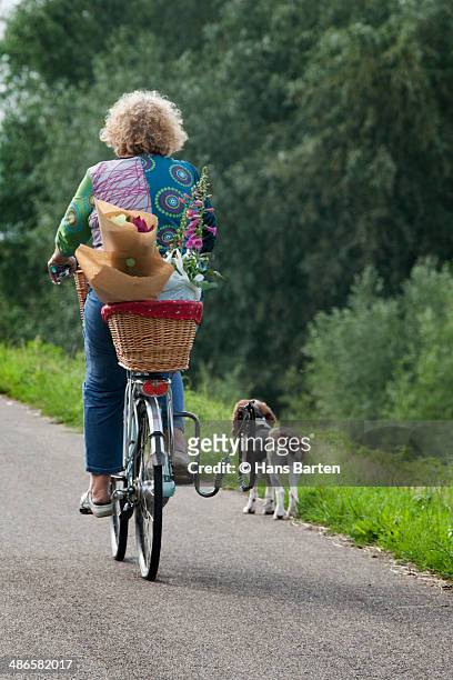 woman cycling with her dog - hans barten stockfoto's en -beelden