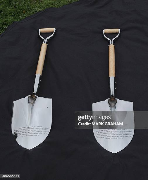 The shovels that Britain's Prince William and his Catherine used to plant an Aleppo Pine seedling derived from seeds gathered after the battle of...