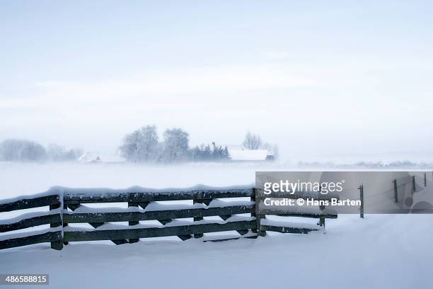 winter landscape with snowy fence - hans barten stockfoto's en -beelden