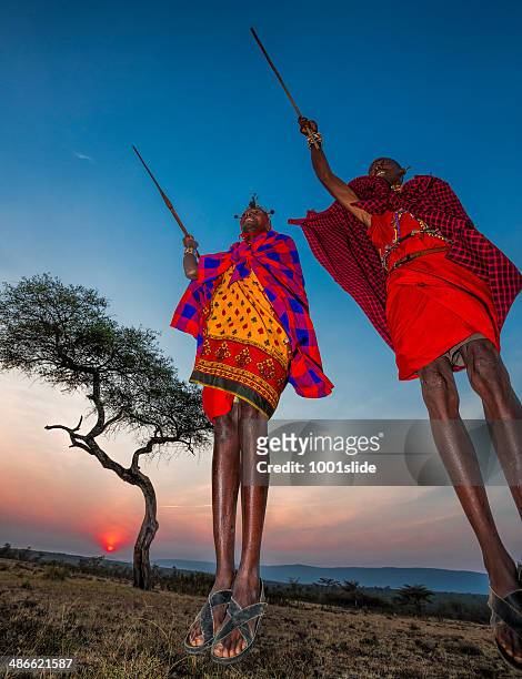 african masai people are dancing and jumping - masai stock pictures, royalty-free photos & images