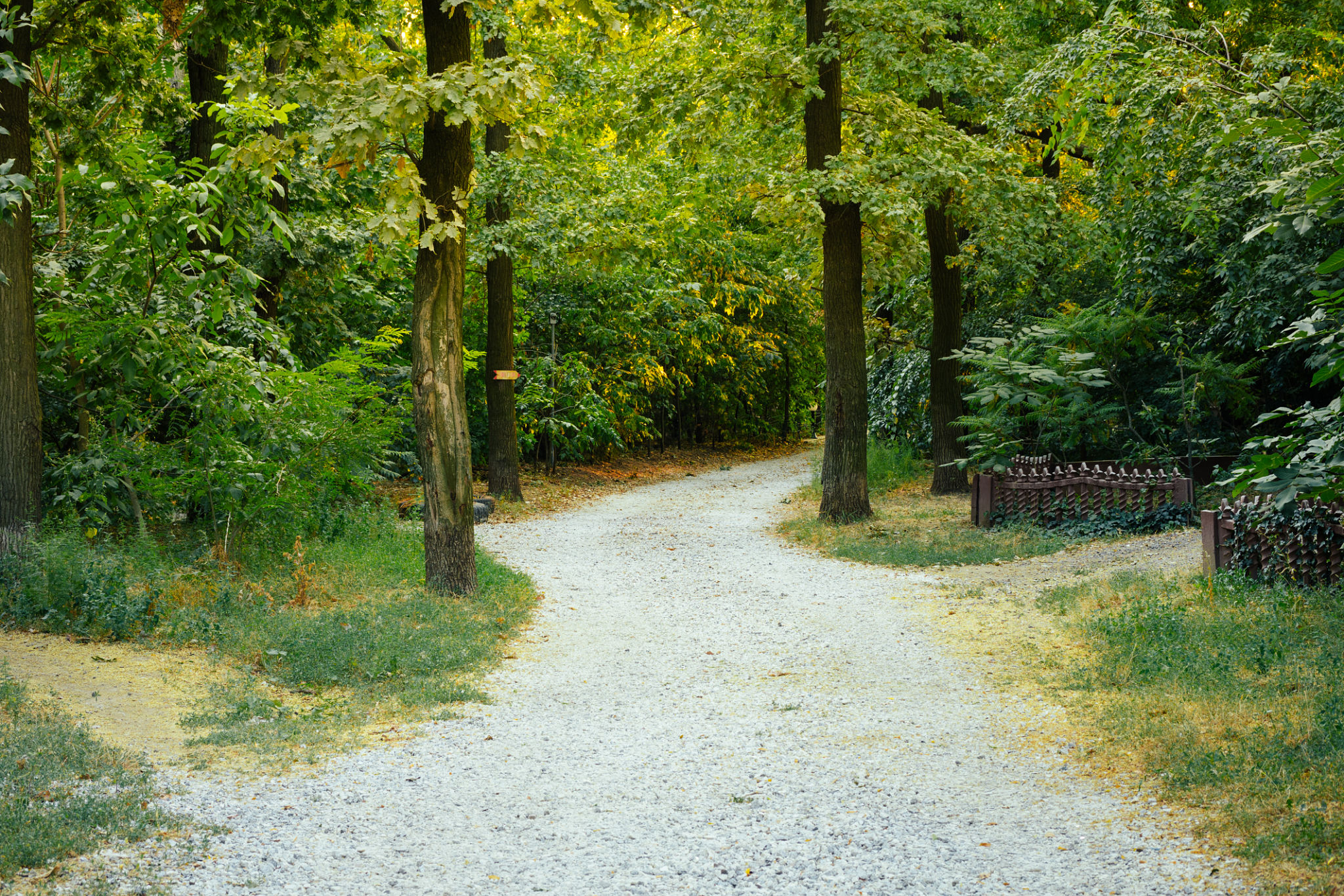 driveway options