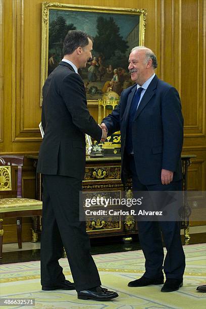 Prince Felipe of Spain receives Spanish Head Coach Vicente del Bosque at the Zarzuela Palace on April 25, 2014 in Madrid, Spain.