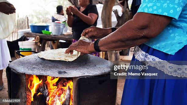 woman cooking tortillas - sonora stock pictures, royalty-free photos & images