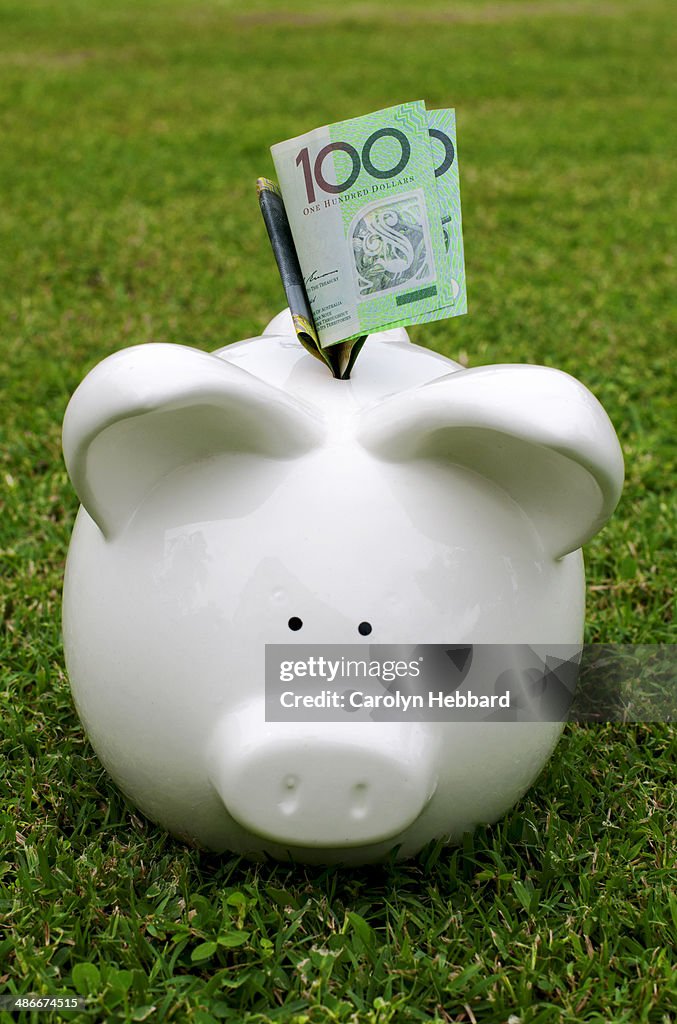 Piggy Bank with Australian Hundred Dollar Notes