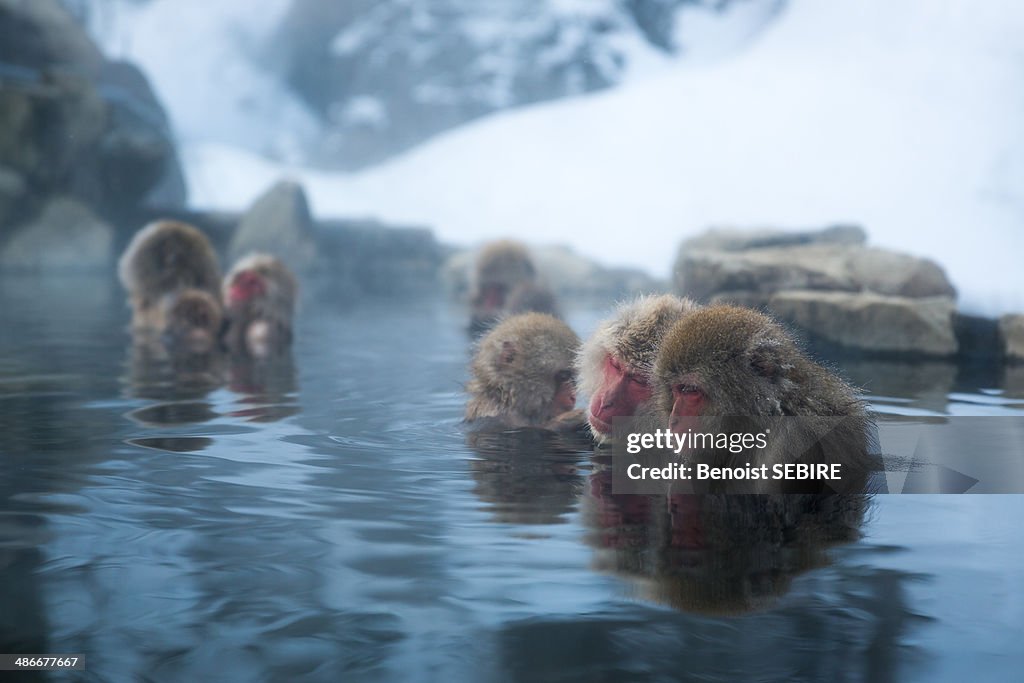 Relaxing Bath