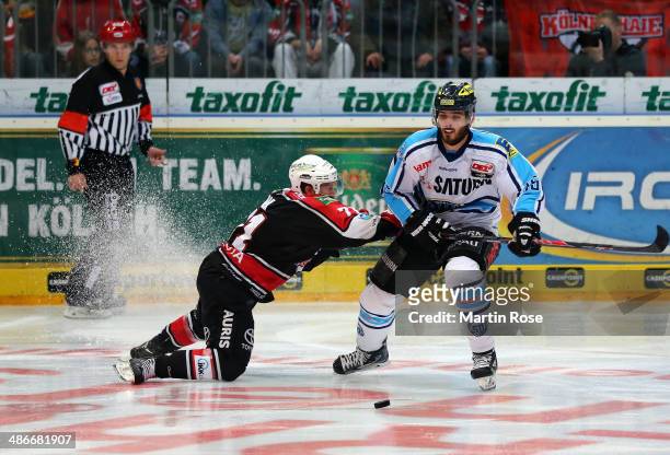 Andreas Falk Koeln and Alexander Oberlinbger of Ingolstadt battle for the puck in game five of the DEL final play-offs between Koelner Haie and ERC...