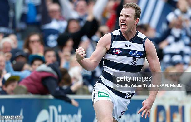 During the 2015 AFL round 23 match between the Geelong Cats and the Adelaide Crows at Simonds Stadium, Geelong, Australia on September 5, 2015.