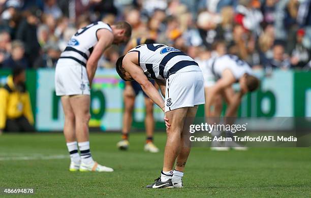 Mathew Stokes of the Cats looks on on the final siren after his last game during the 2015 AFL round 23 match between the Geelong Cats and the...