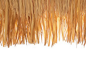 Thatch roof