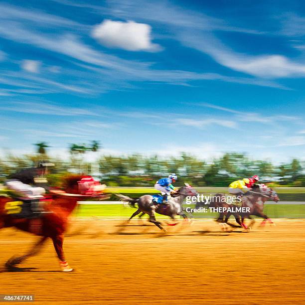 pferderennen motion blur - horse racing stock-fotos und bilder