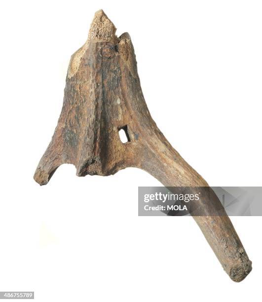 Ancient Antler Rake Backfill Photos and Premium High Res Pictures - Getty Images