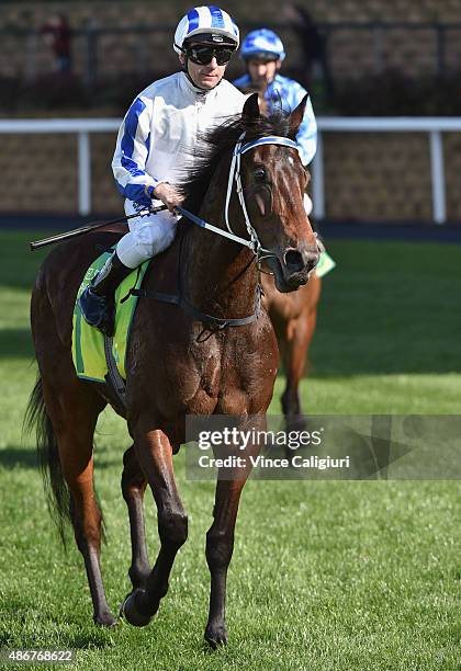 Vlad Duric riding Pasadena Girl after finishing runner up in Race 5, Telstra Phonewords Atlantic Jewel Stakes during Melbourne Racing at Moonee...