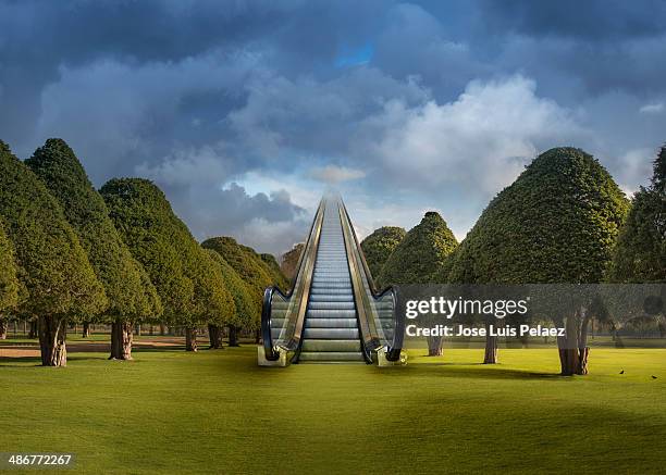 escalator to heaven on a field with trees - 天国　階段 ストックフォトと画像