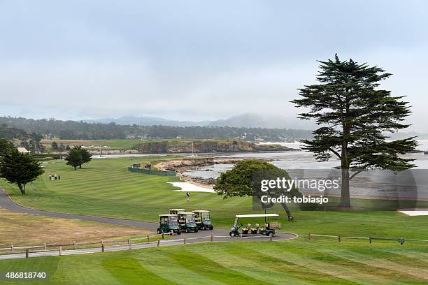 pebble beach golf course - pebble beach stock pictures, royalty-free photos & images